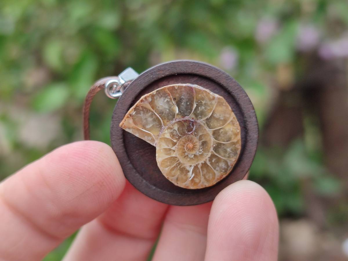 Hand Made Ammonite Pendant - sold per item - From Madagascar - Toprock Gemstones and Minerals 