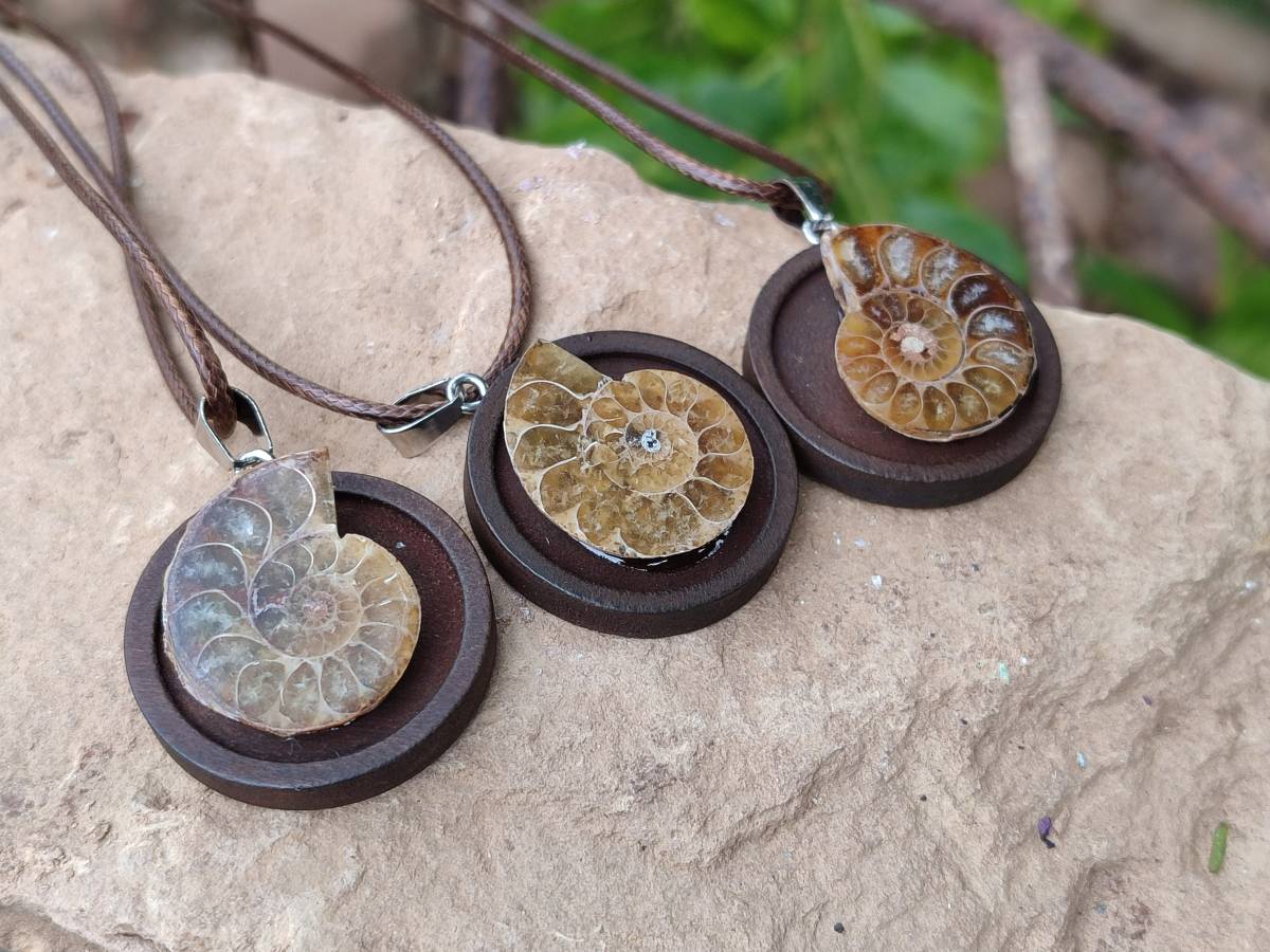 Hand Made Ammonite Pendant - sold per item - From Madagascar - Toprock Gemstones and Minerals 