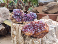 Natural Amethystos Amethyst Clusters x 12 From Kwaggafontein, South Africa - Toprock Gemstones and Minerals 