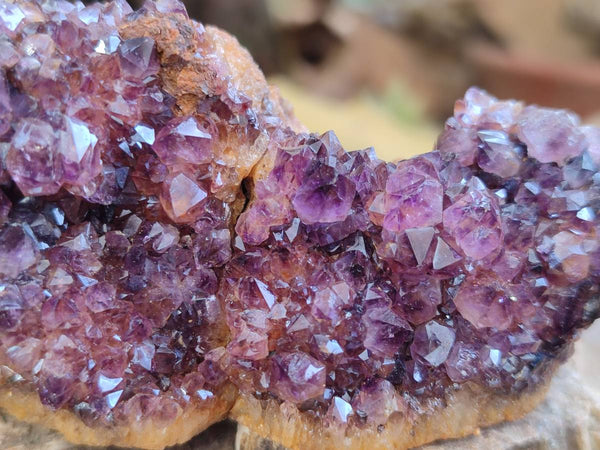 Natural Amethystos Amethyst Clusters x 12 From Kwaggafontein, South Africa - Toprock Gemstones and Minerals 
