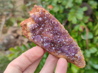 Natural Amethystos Amethyst Clusters x 12 From Kwaggafontein, South Africa - Toprock Gemstones and Minerals 