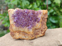 Natural Amethystos Amethyst Clusters x 12 From Kwaggafontein, South Africa - Toprock Gemstones and Minerals 