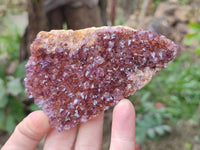 Natural Amethystos Amethyst Clusters x 12 From Kwaggafontein, South Africa - Toprock Gemstones and Minerals 