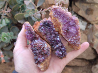 Natural Amethystos Amethyst Clusters x 12 From Kwaggafontein, South Africa - Toprock Gemstones and Minerals 
