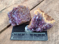 Natural Amethystos Amethyst Clusters x 12 From Kwaggafontein, South Africa - Toprock Gemstones and Minerals 