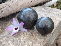 Polished Pharaoh Stone Spheres x 2 Zimbabwe - Toprock Gemstones and Minerals 