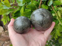 Polished Pharaoh Stone Spheres x 2 Zimbabwe - Toprock Gemstones and Minerals 