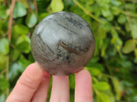 Polished Pharaoh Stone Spheres x 2 Zimbabwe - Toprock Gemstones and Minerals 