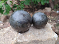 Polished Pharaoh Stone Spheres x 2 Zimbabwe - Toprock Gemstones and Minerals 