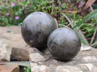 Polished Pharaoh Stone Spheres x 2 Zimbabwe - Toprock Gemstones and Minerals 