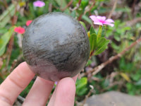 Polished Pharaoh Stone Spheres x 2 Zimbabwe - Toprock Gemstones and Minerals 