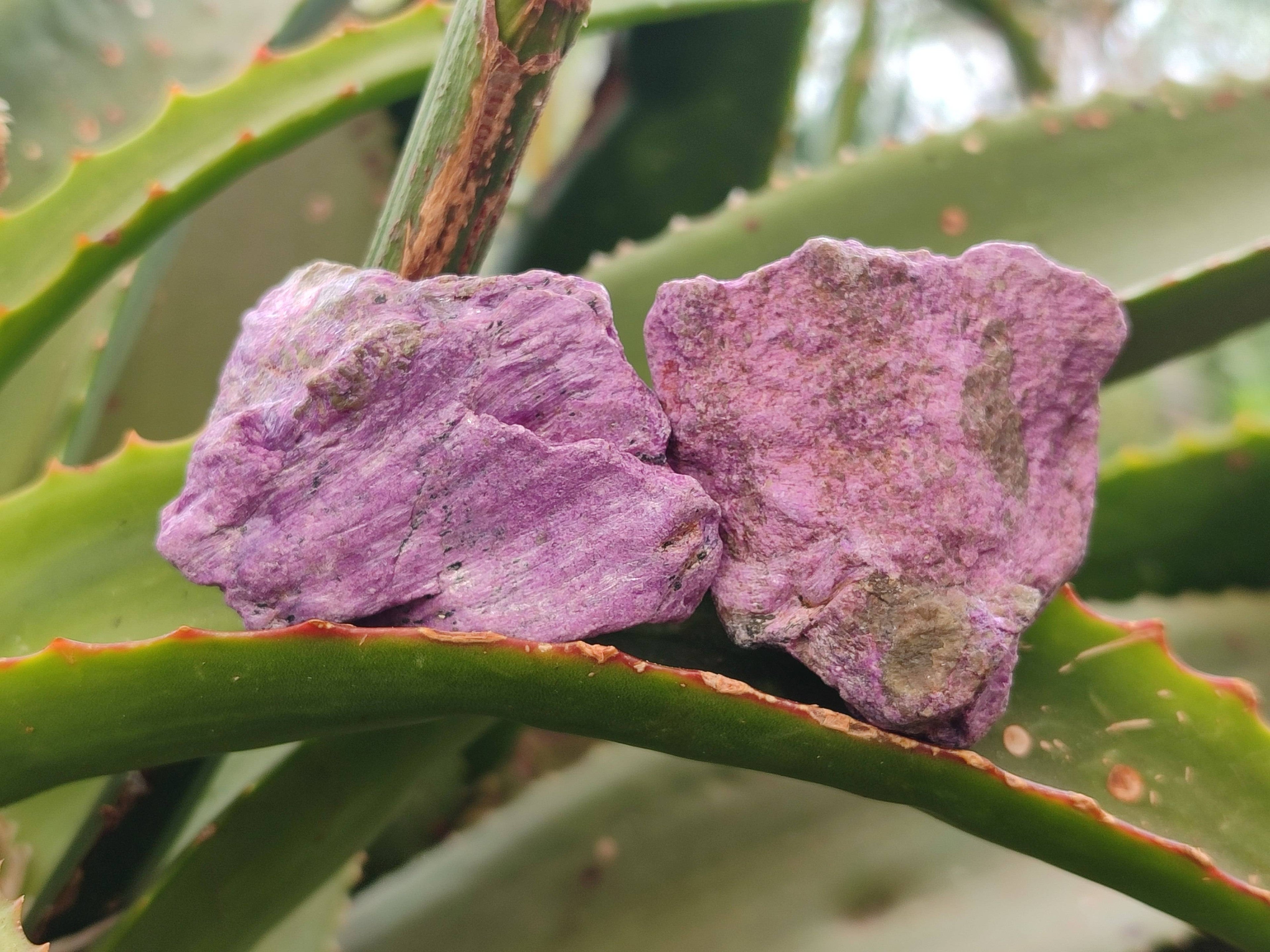 Natural Cobbed Stichtite Specimens x 35 From Barberton, South Africa - Toprock Gemstones and Minerals 
