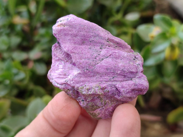 Natural Cobbed Stichtite Specimens x 35 From Barberton, South Africa - Toprock Gemstones and Minerals 