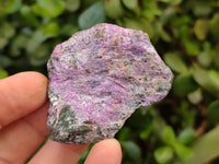 Natural Cobbed Stichtite Specimens x 35 From Barberton, South Africa - Toprock Gemstones and Minerals 