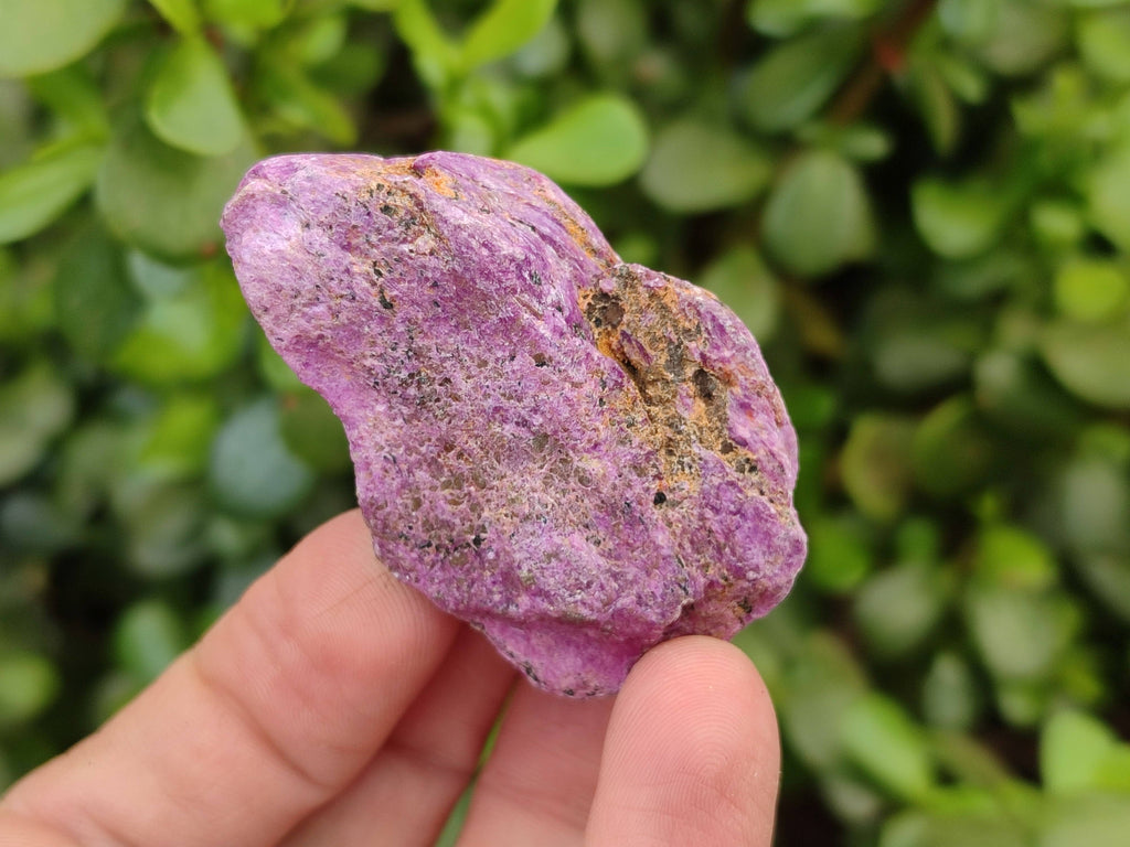 Natural Cobbed Stichtite Specimens x 35 From Barberton, South Africa - Toprock Gemstones and Minerals 