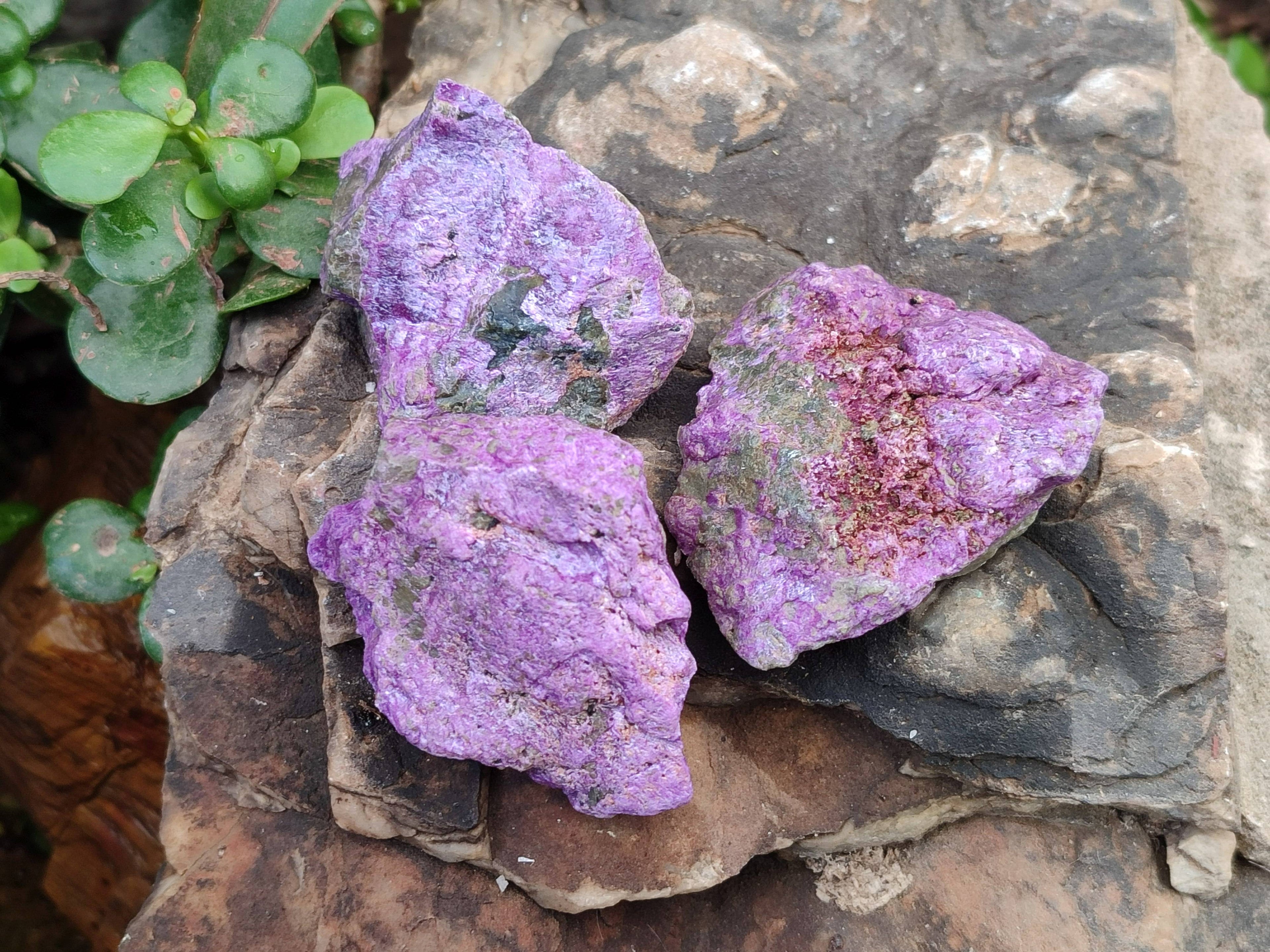 Natural Cobbed Stichtite Specimens x 35 From Barberton, South Africa - Toprock Gemstones and Minerals 
