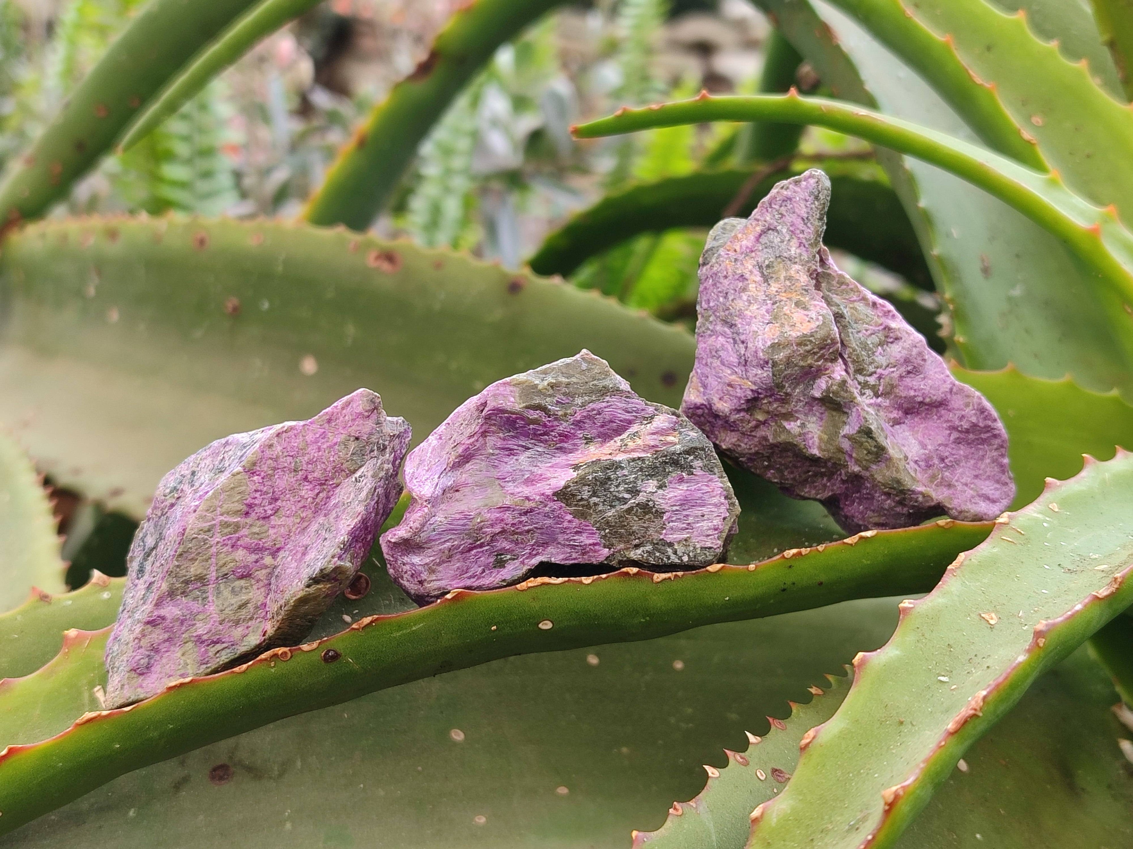 Natural Cobbed Stichtite Specimens x 35 From Barberton, South Africa - Toprock Gemstones and Minerals 
