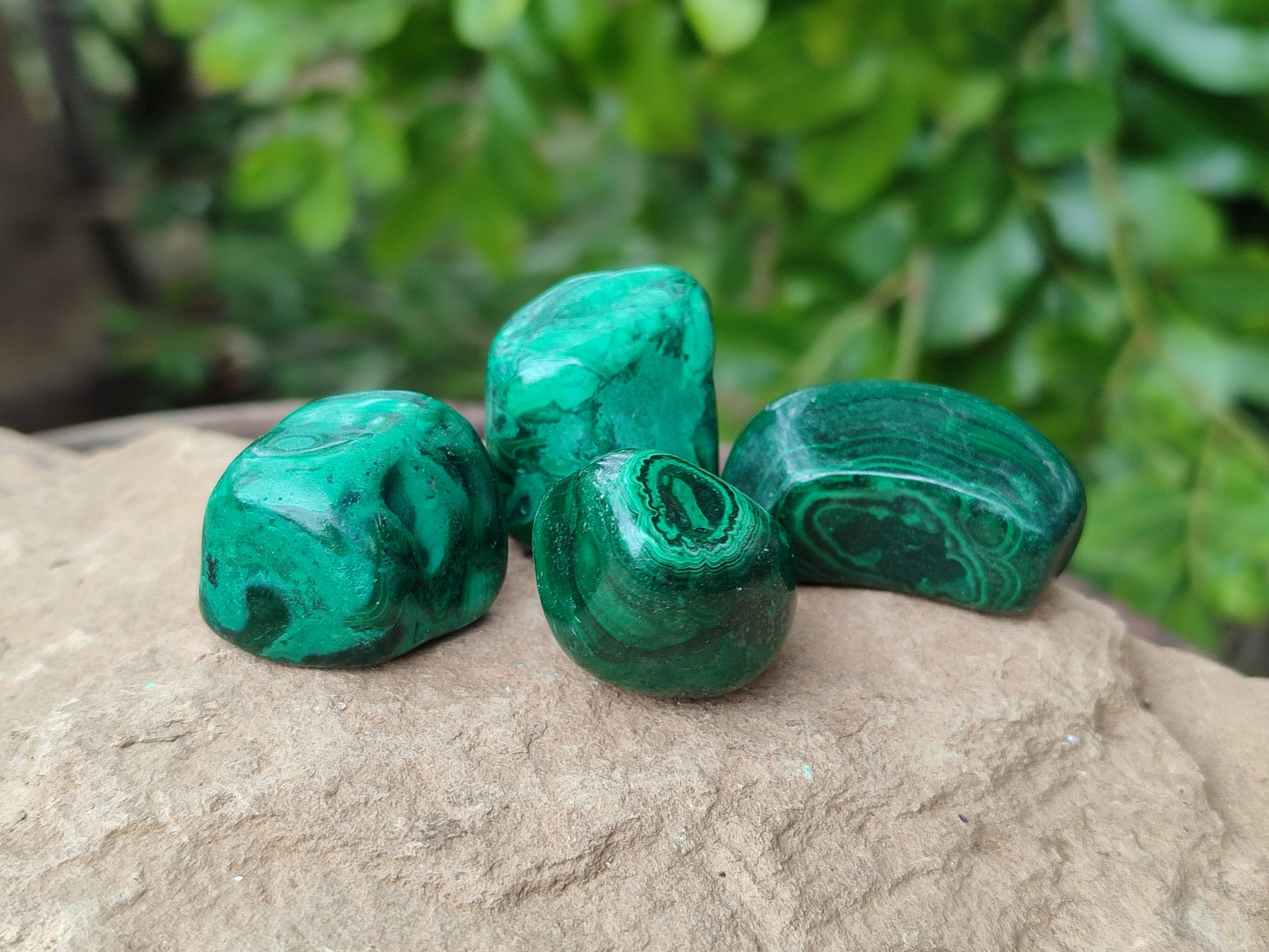 Polished Flower Banded Malachite Free Forms x 35 From Congo - Toprock Gemstones and Minerals 
