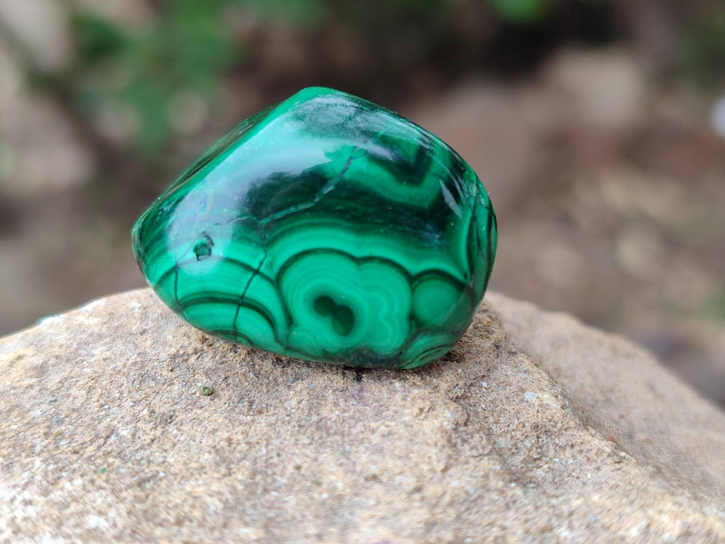 Polished Flower Banded Malachite Free Forms x 35 From Congo - Toprock Gemstones and Minerals 