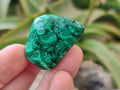 Polished Flower Banded Malachite Free Forms x 35 From Congo - Toprock Gemstones and Minerals 
