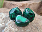 Polished Flower Banded Malachite Free Forms x 35 From Congo - Toprock Gemstones and Minerals 