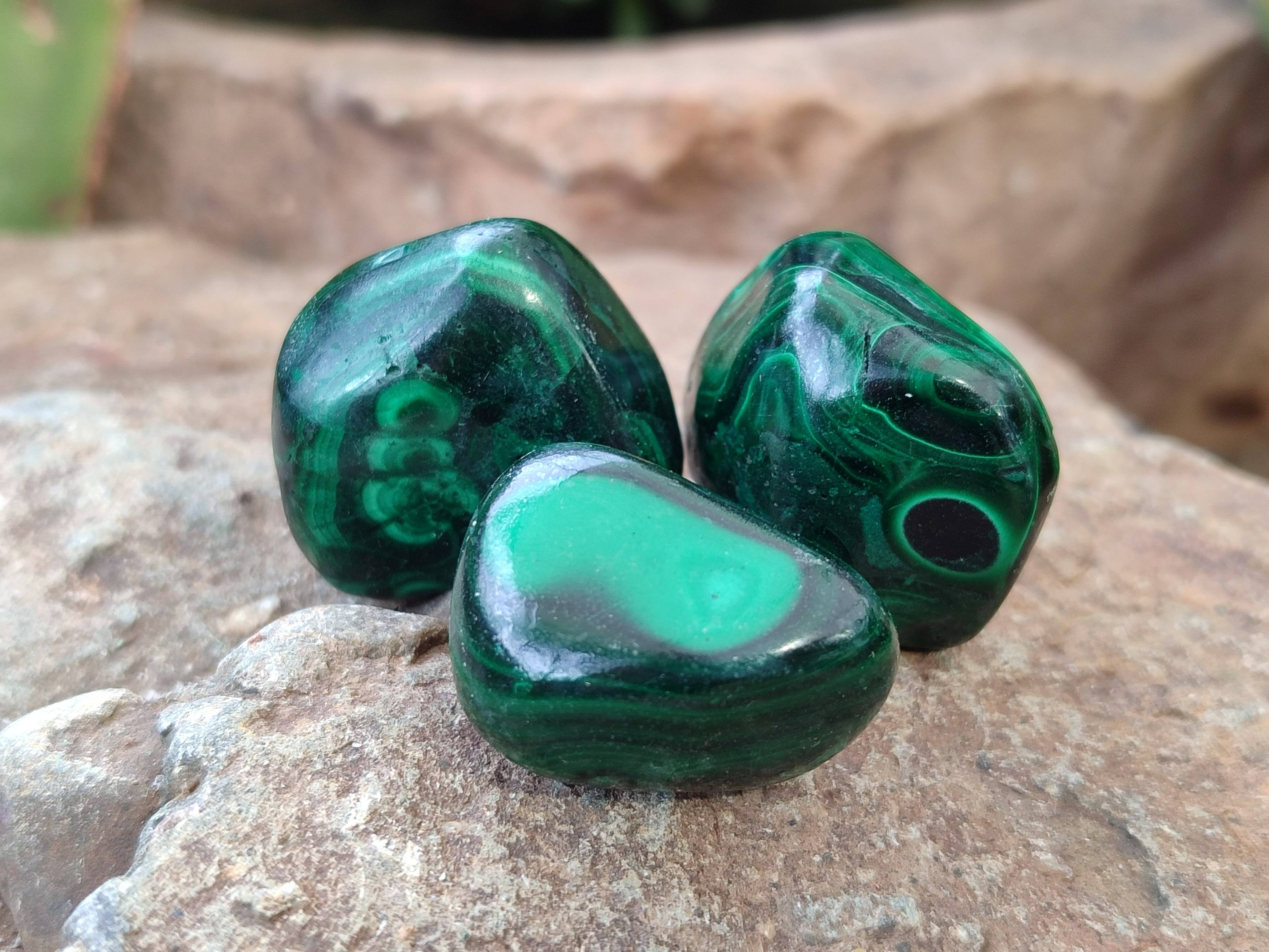 Polished Flower Banded Malachite Free Forms x 35 From Congo - Toprock Gemstones and Minerals 
