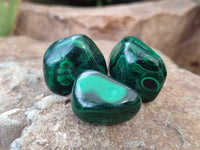 Polished Flower Banded Malachite Free Forms x 35 From Congo - Toprock Gemstones and Minerals 