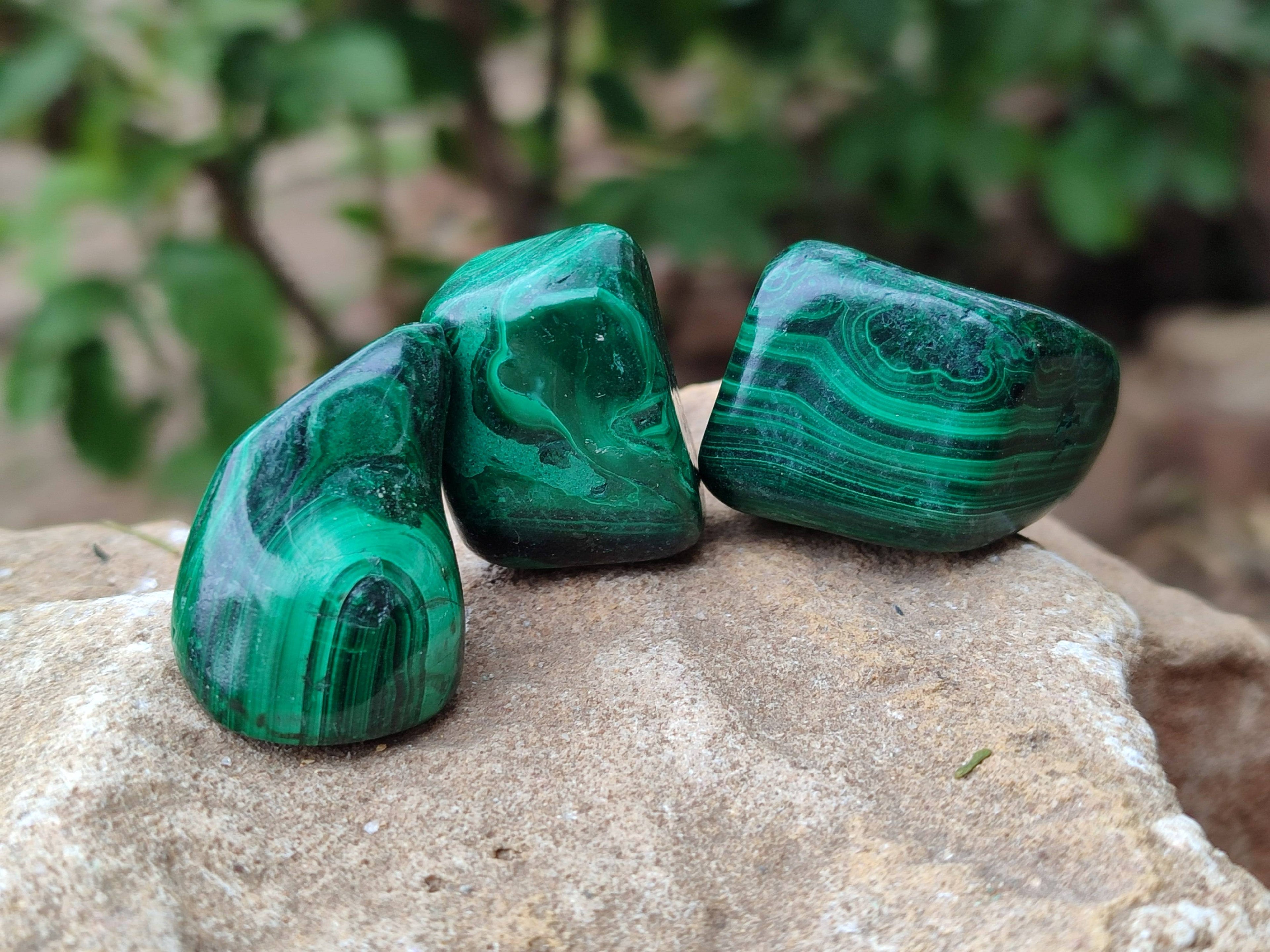 Polished Flower Banded Malachite Free Forms x 35 From Congo - Toprock Gemstones and Minerals 