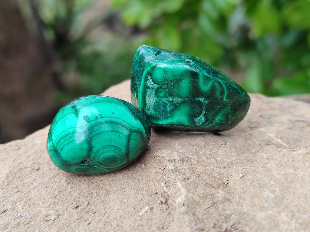 Polished Flower Banded Malachite Free Forms x 35 From Congo - Toprock Gemstones and Minerals 