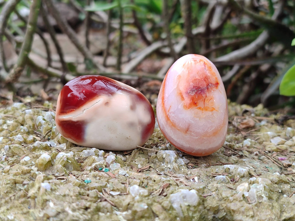 Polished Carnelian Palm Stones x 20 From Madagascar - Toprock Gemstones and Minerals 