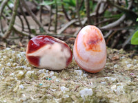 Polished Carnelian Palm Stones x 20 From Madagascar