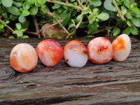 Polished Carnelian Palm Stones x 20 From Madagascar