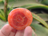 Polished Carnelian Palm Stones x 20 From Madagascar