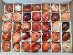 Polished Carnelian Palm Stones x 20 From Madagascar - Toprock Gemstones and Minerals 