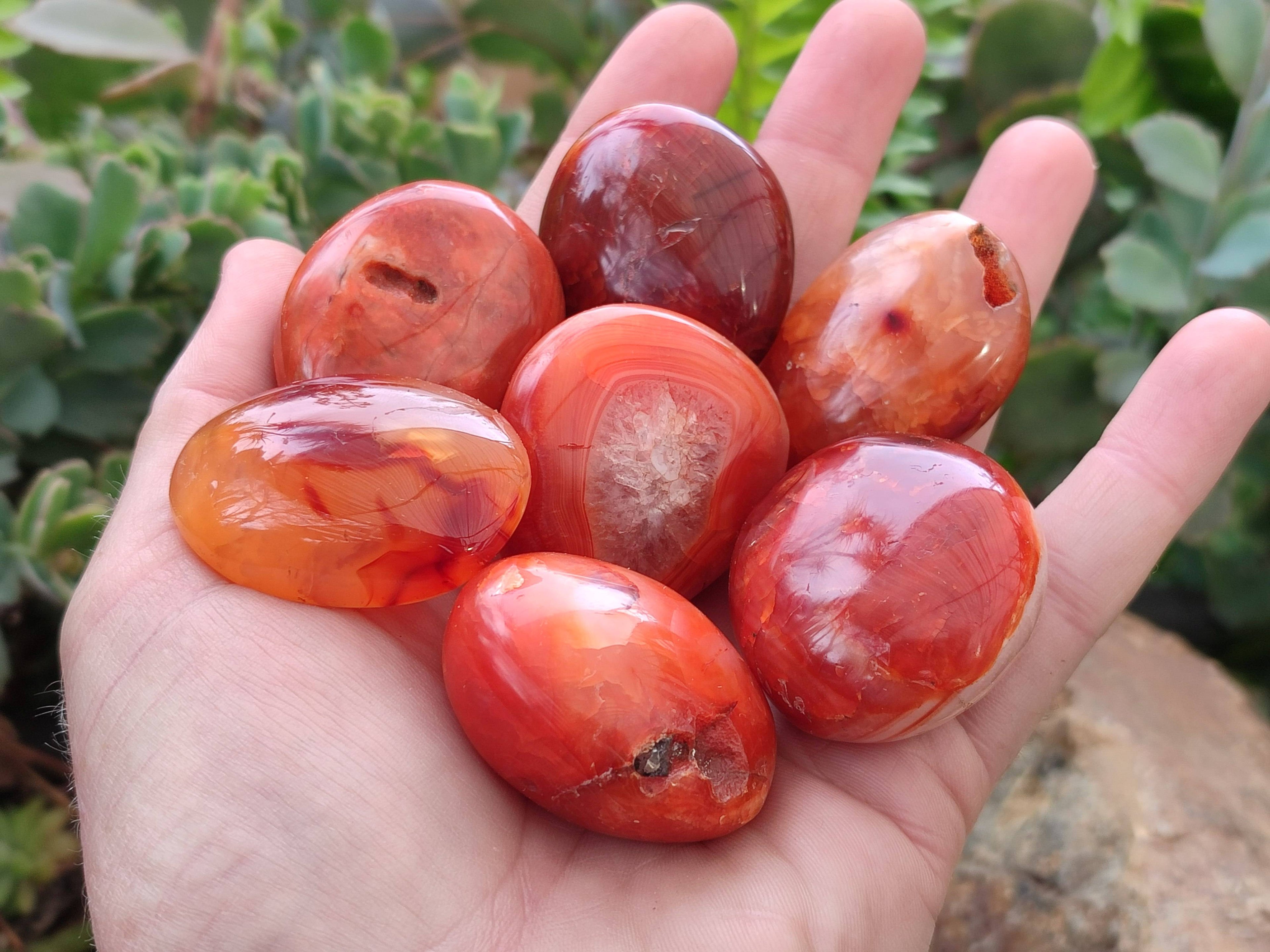 Polished Carnelian Palm Stones x 20 From Madagascar - Toprock Gemstones and Minerals 