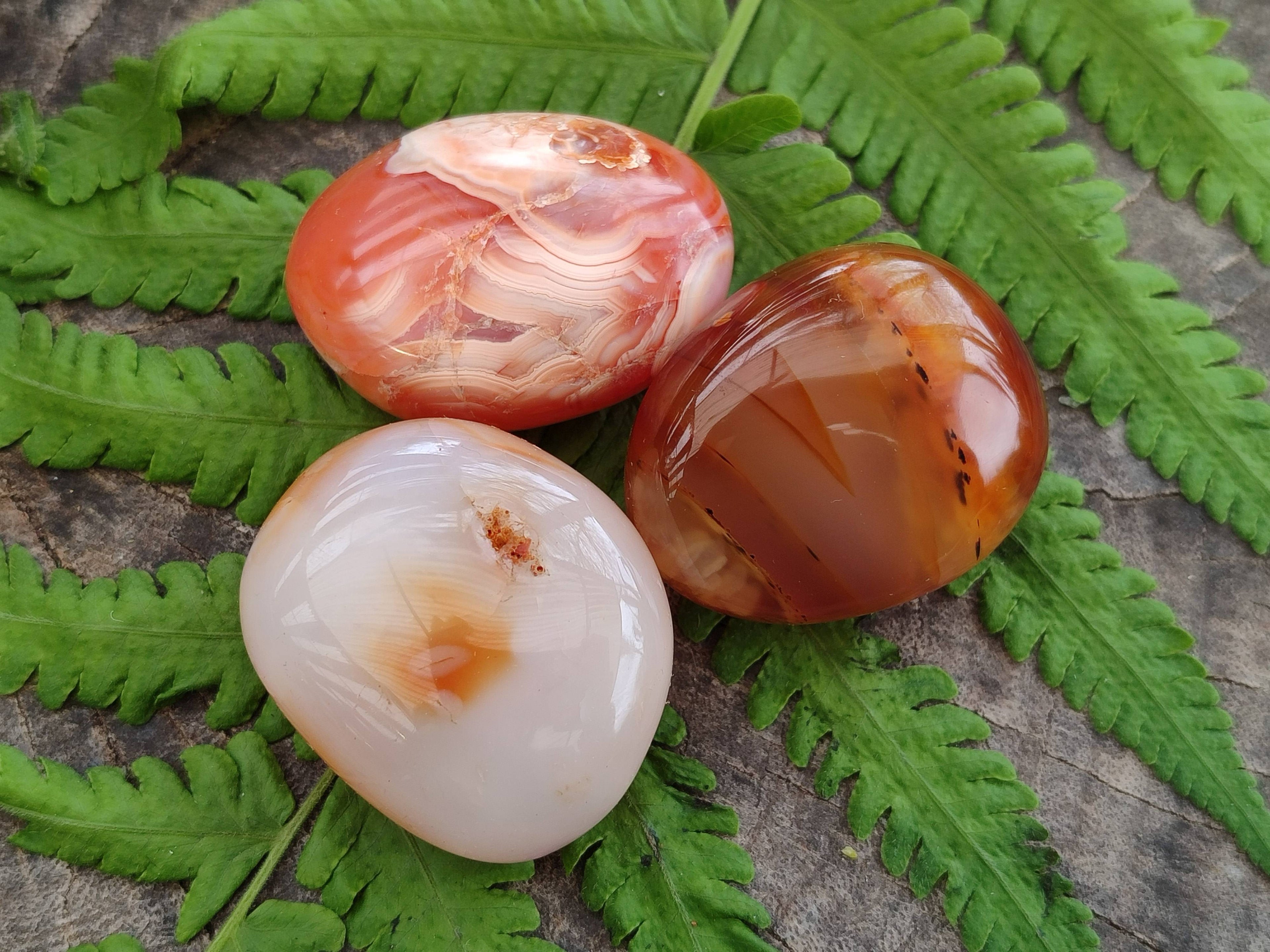 Polished Carnelian Palm Stones x 20 From Madagascar - Toprock Gemstones and Minerals 