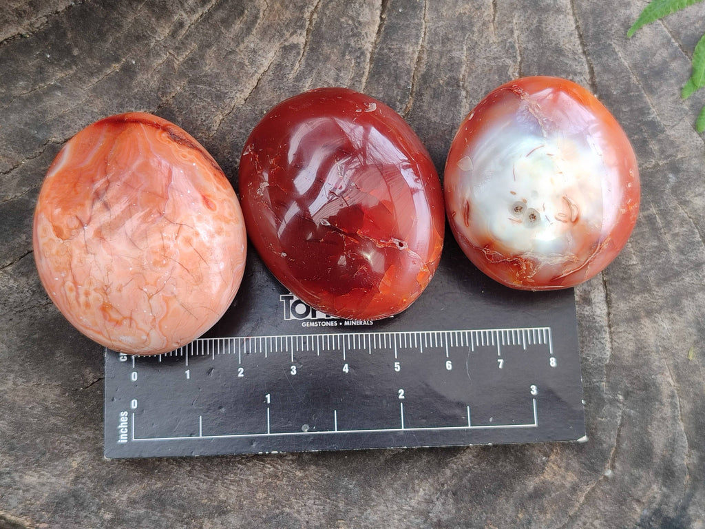 Polished Carnelian Palm Stones x 20 From Madagascar - Toprock Gemstones and Minerals 