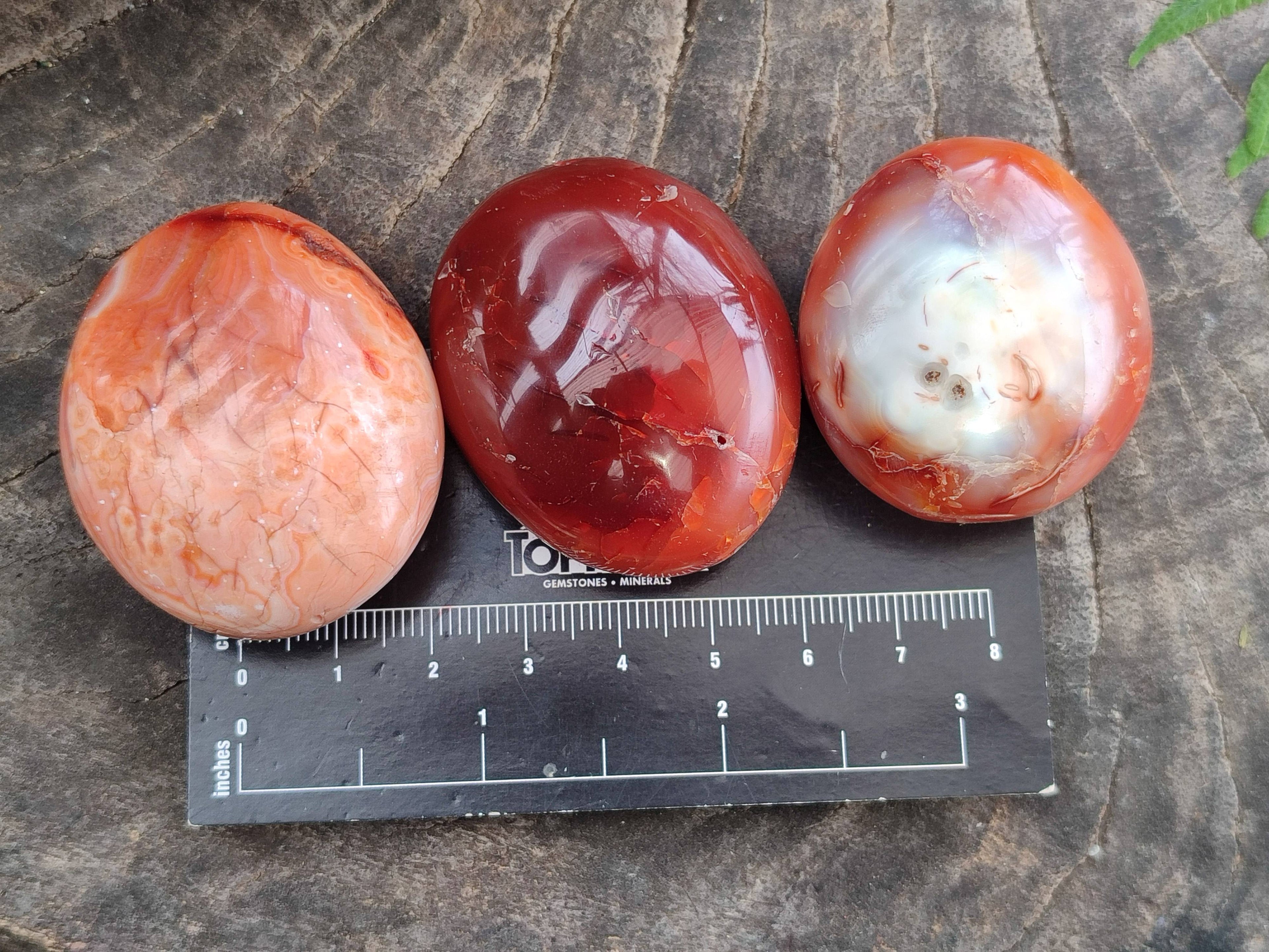 Polished Carnelian Palm Stones x 20 From Madagascar - Toprock Gemstones and Minerals 