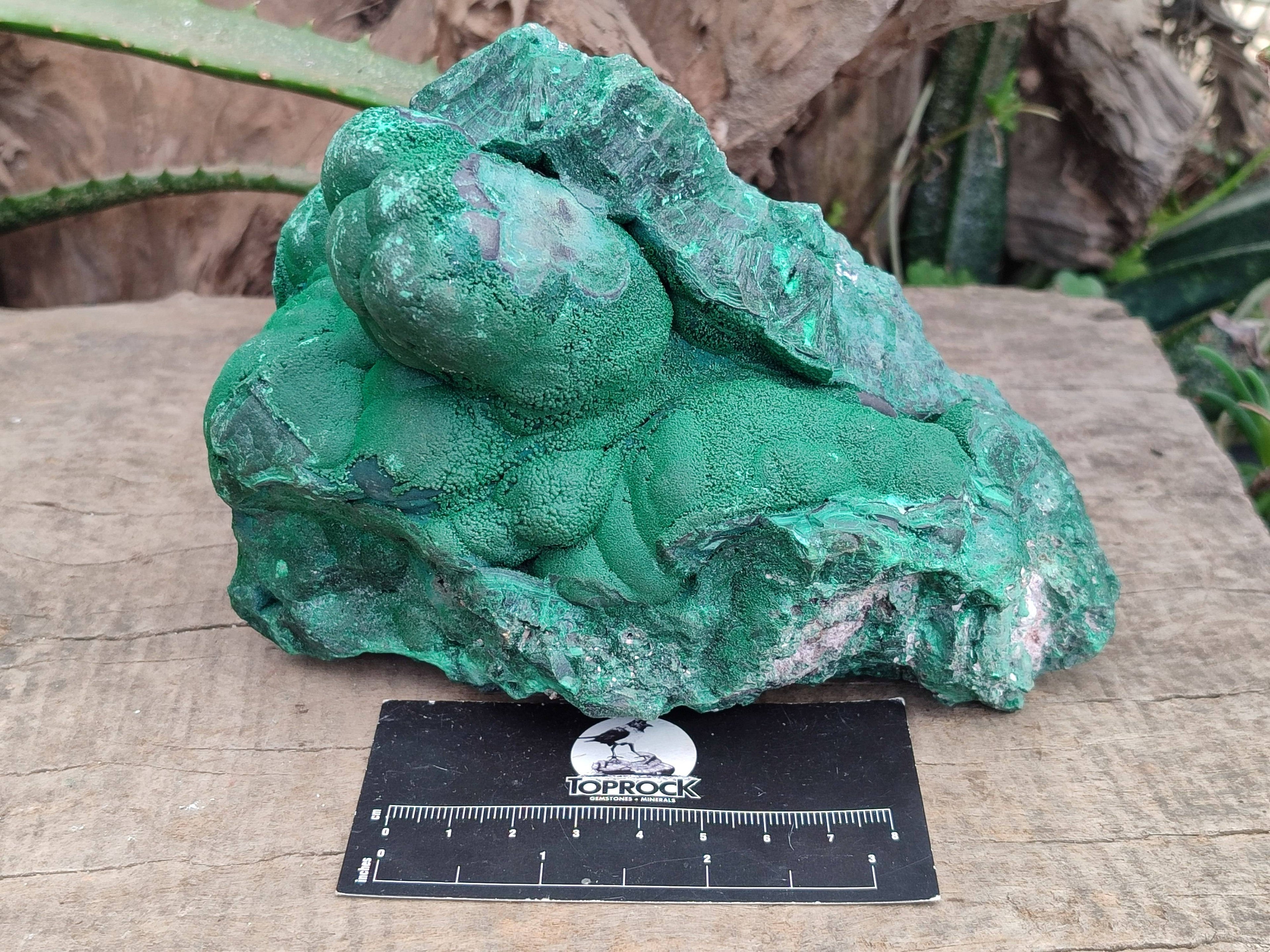 Natural Botryoidal Malachite Specimen x 1 From Tenke Fungurume, Congo - Toprock Gemstones and Minerals 