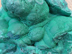 Natural Botryoidal Malachite Specimen x 1 From Tenke Fungurume, Congo - Toprock Gemstones and Minerals 