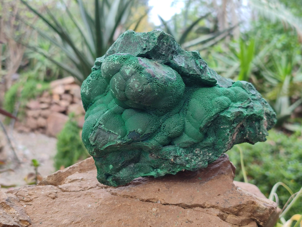 Natural Botryoidal Malachite Specimen x 1 From Tenke Fungurume, Congo - Toprock Gemstones and Minerals 