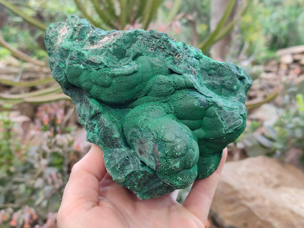Natural Botryoidal Malachite Specimen x 1 From Tenke Fungurume, Congo - Toprock Gemstones and Minerals 