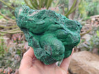 Natural Botryoidal Malachite Specimen x 1 From Tenke Fungurume, Congo - Toprock Gemstones and Minerals 
