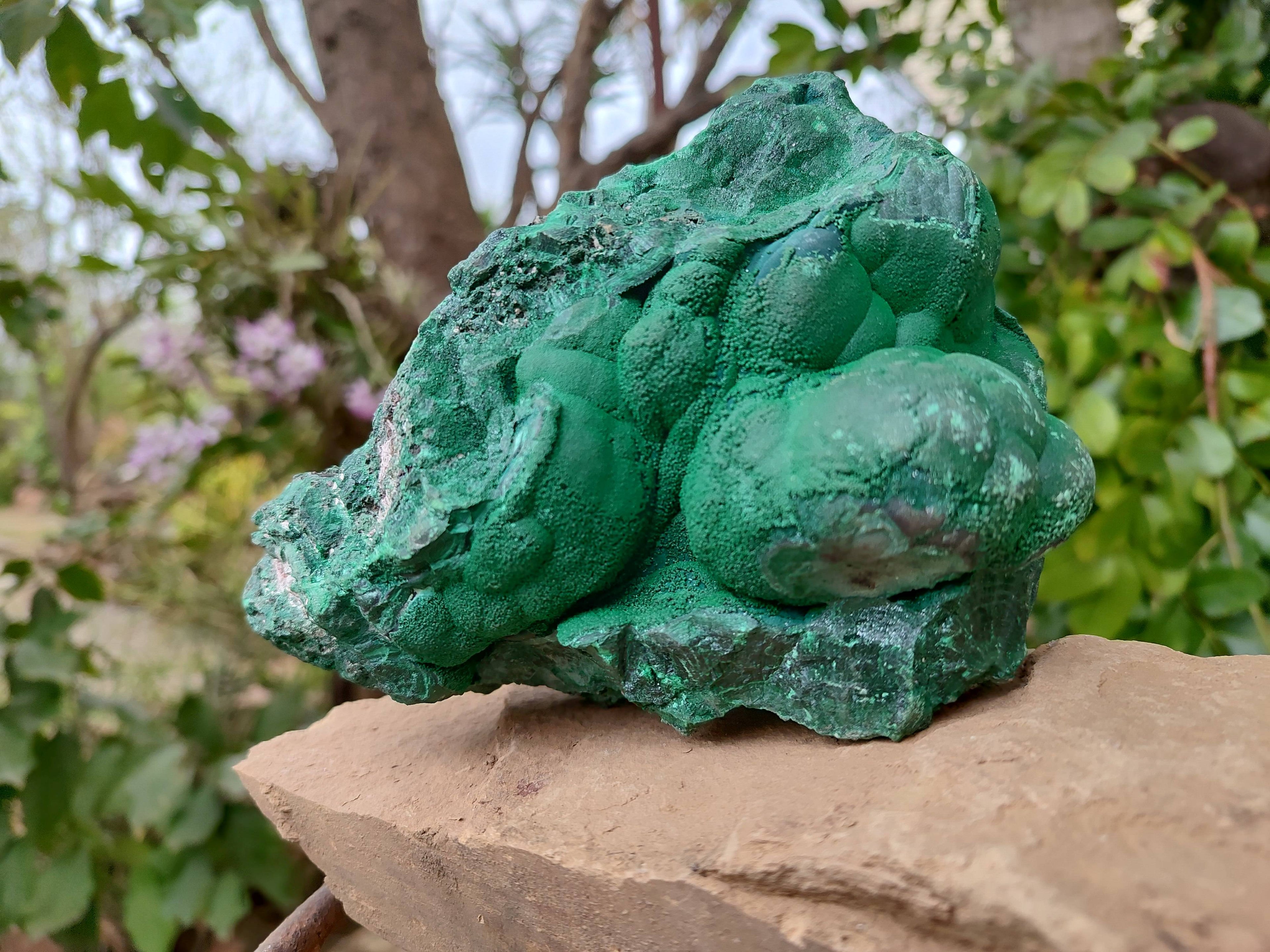Natural Botryoidal Malachite Specimen x 1 From Tenke Fungurume, Congo - Toprock Gemstones and Minerals 