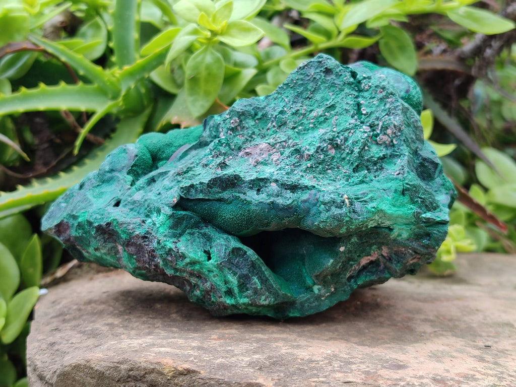 Natural Botryoidal Malachite Specimen x 1 From Tenke Fungurume, Congo - Toprock Gemstones and Minerals 