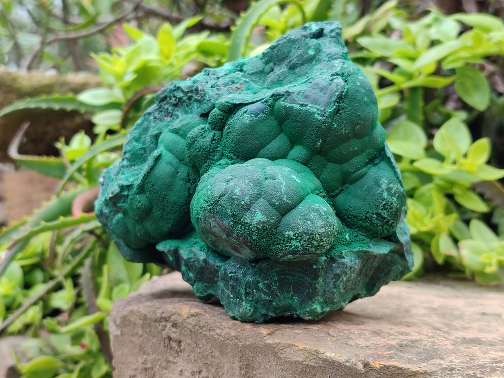 Natural Botryoidal Malachite Specimen x 1 From Tenke Fungurume, Congo - Toprock Gemstones and Minerals 
