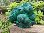 Natural Botryoidal Malachite Specimen x 1 From Tenke Fungurume, Congo - Toprock Gemstones and Minerals 