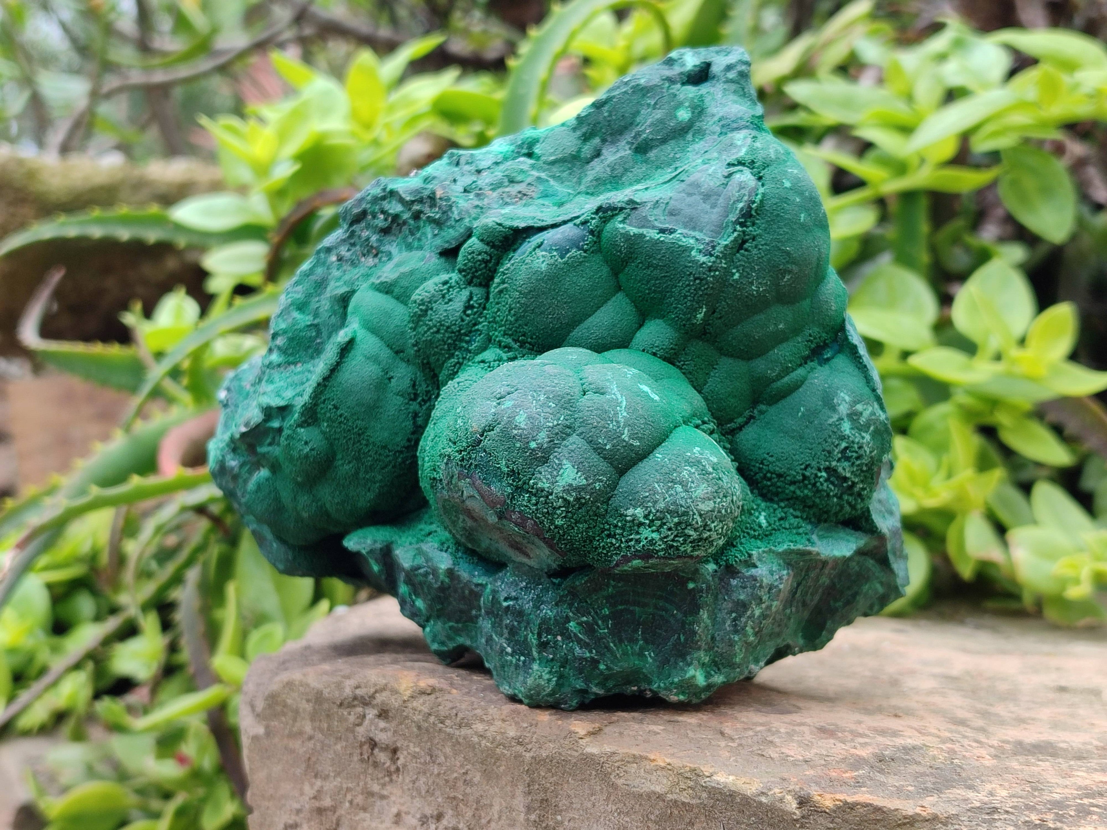 Natural Botryoidal Malachite Specimen x 1 From Tenke Fungurume, Congo - Toprock Gemstones and Minerals 
