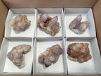 Natural Amethyst Spirit Quartz Clusters x 6 From Boekenhouthoek, South Africa - Toprock Gemstones and Minerals 