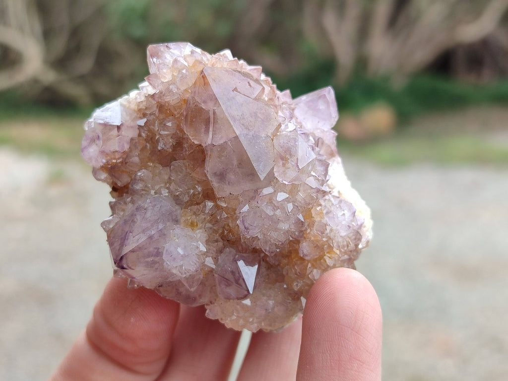 Natural Amethyst Spirit Quartz Clusters x 6 From Boekenhouthoek, South Africa - Toprock Gemstones and Minerals 